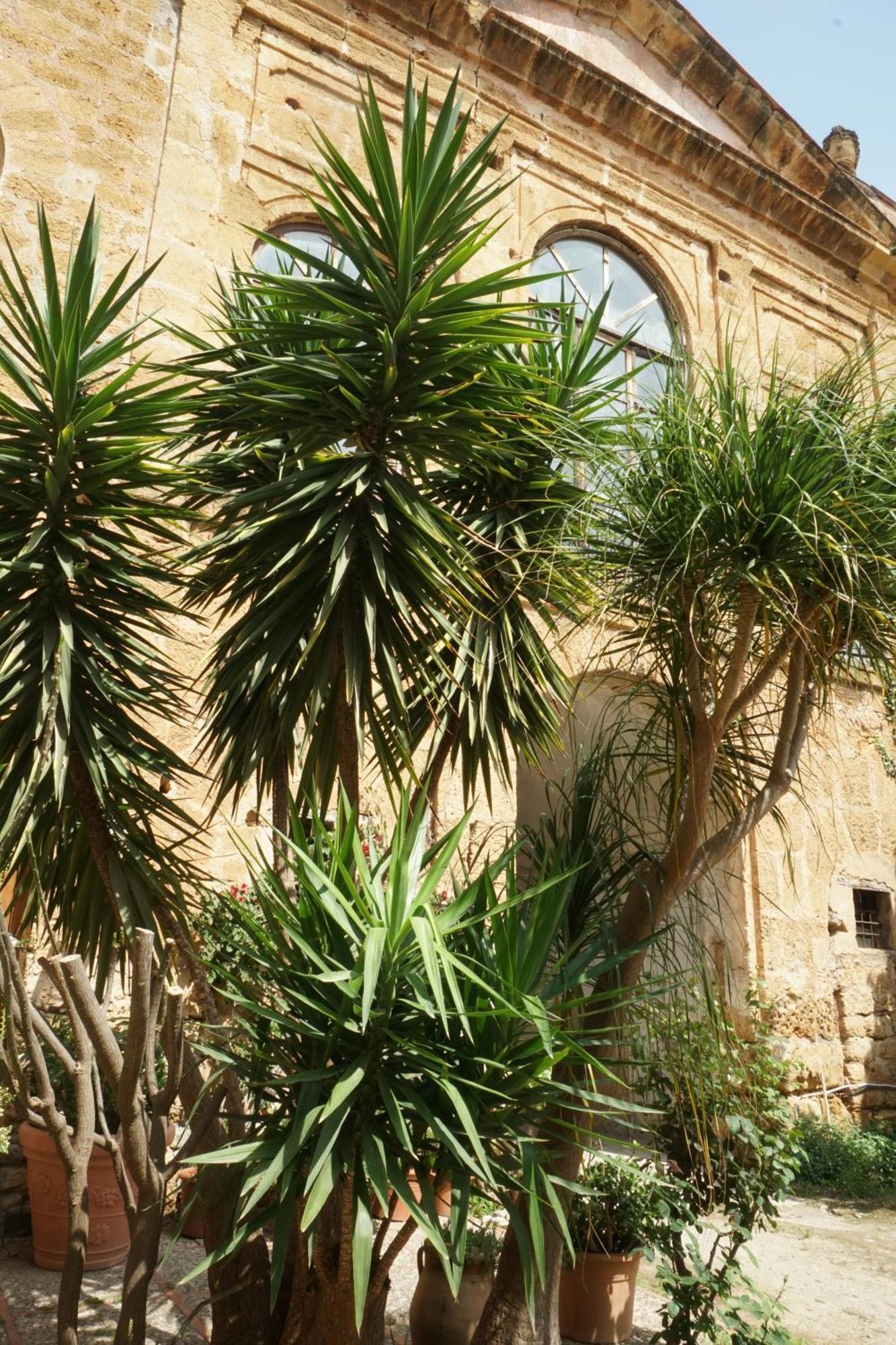 בגרייה Room In Villa Galletti Inguaggiato מראה חיצוני תמונה